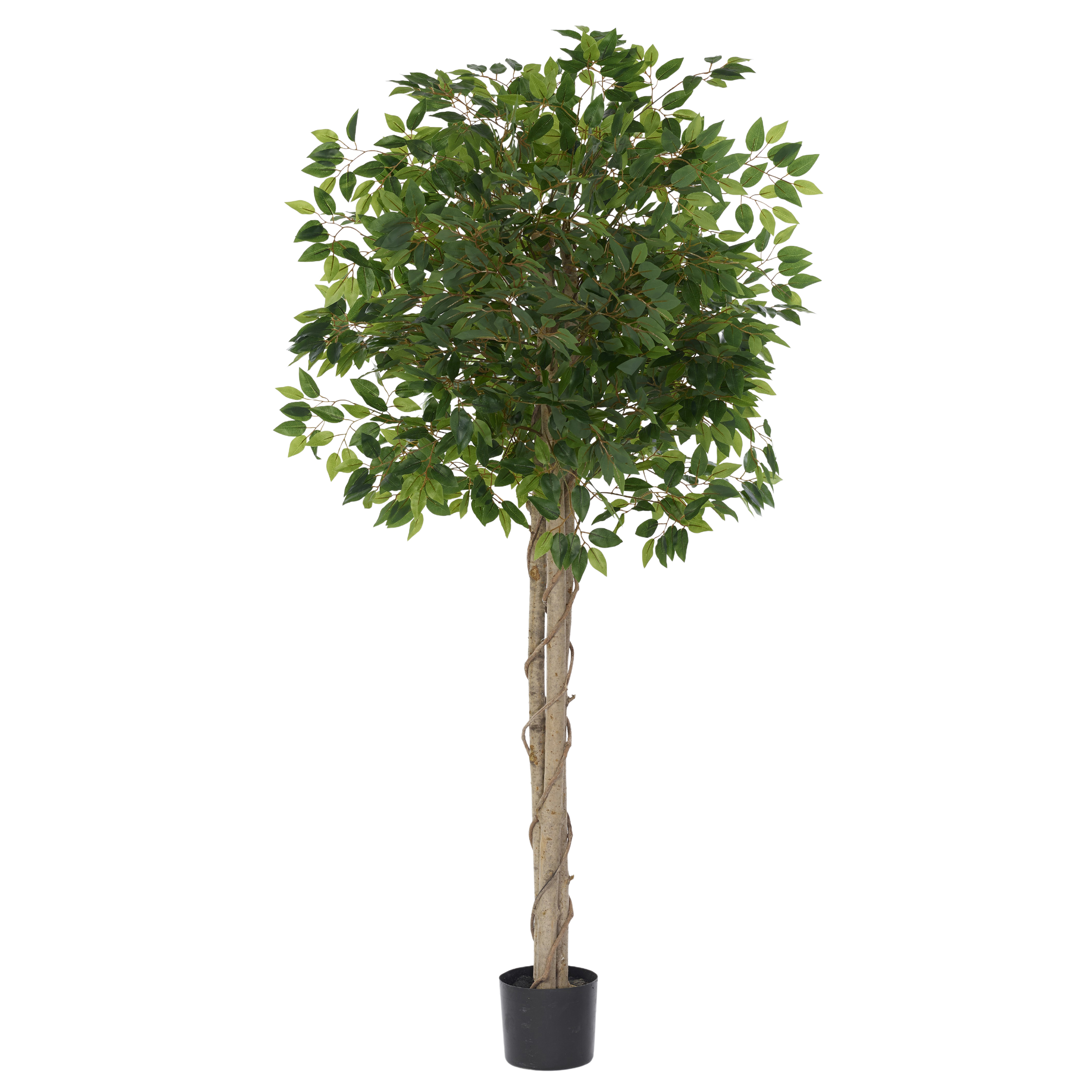 Kunstpflanze Ficus Benjamina