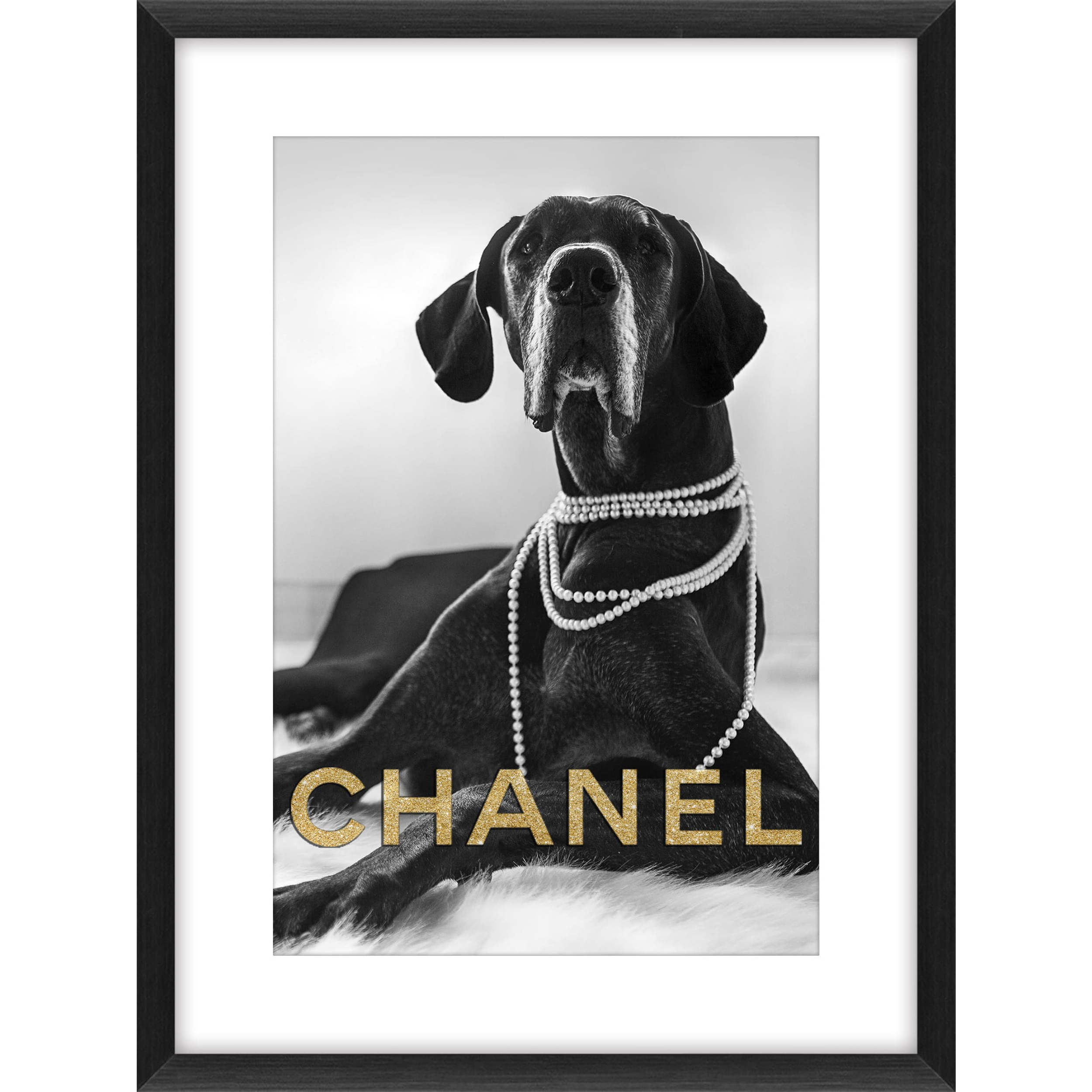 Wandbild Dog Chanel